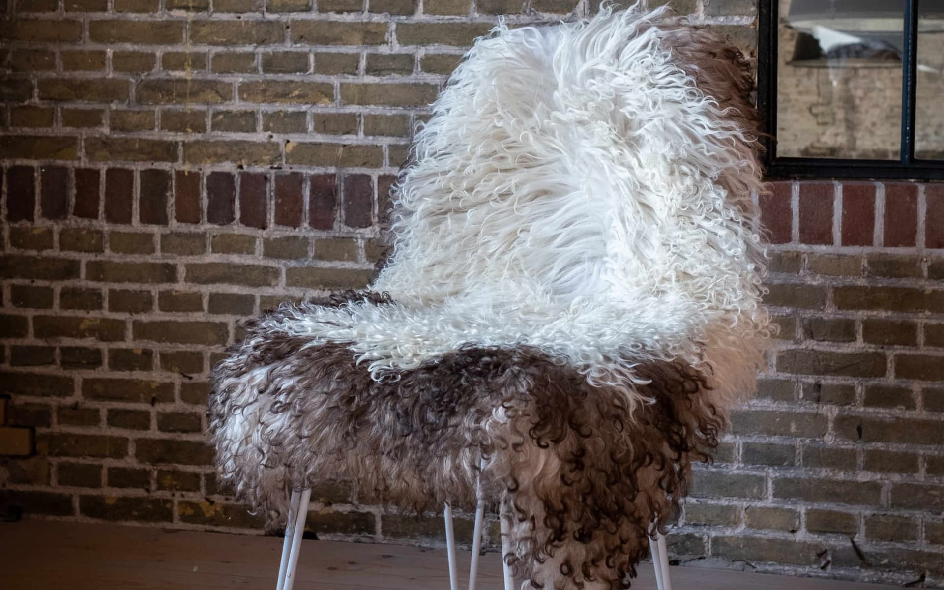 Curly Sheepskin schapenvacht