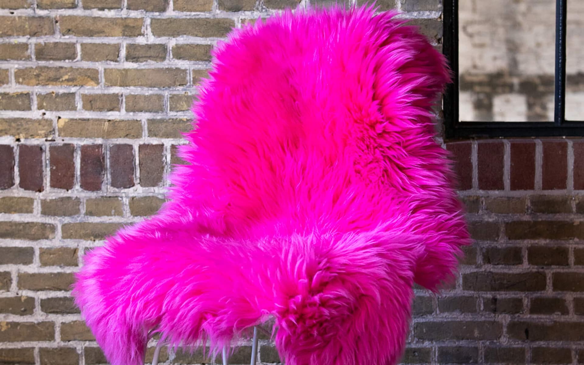Texel schapenvacht fuchsia