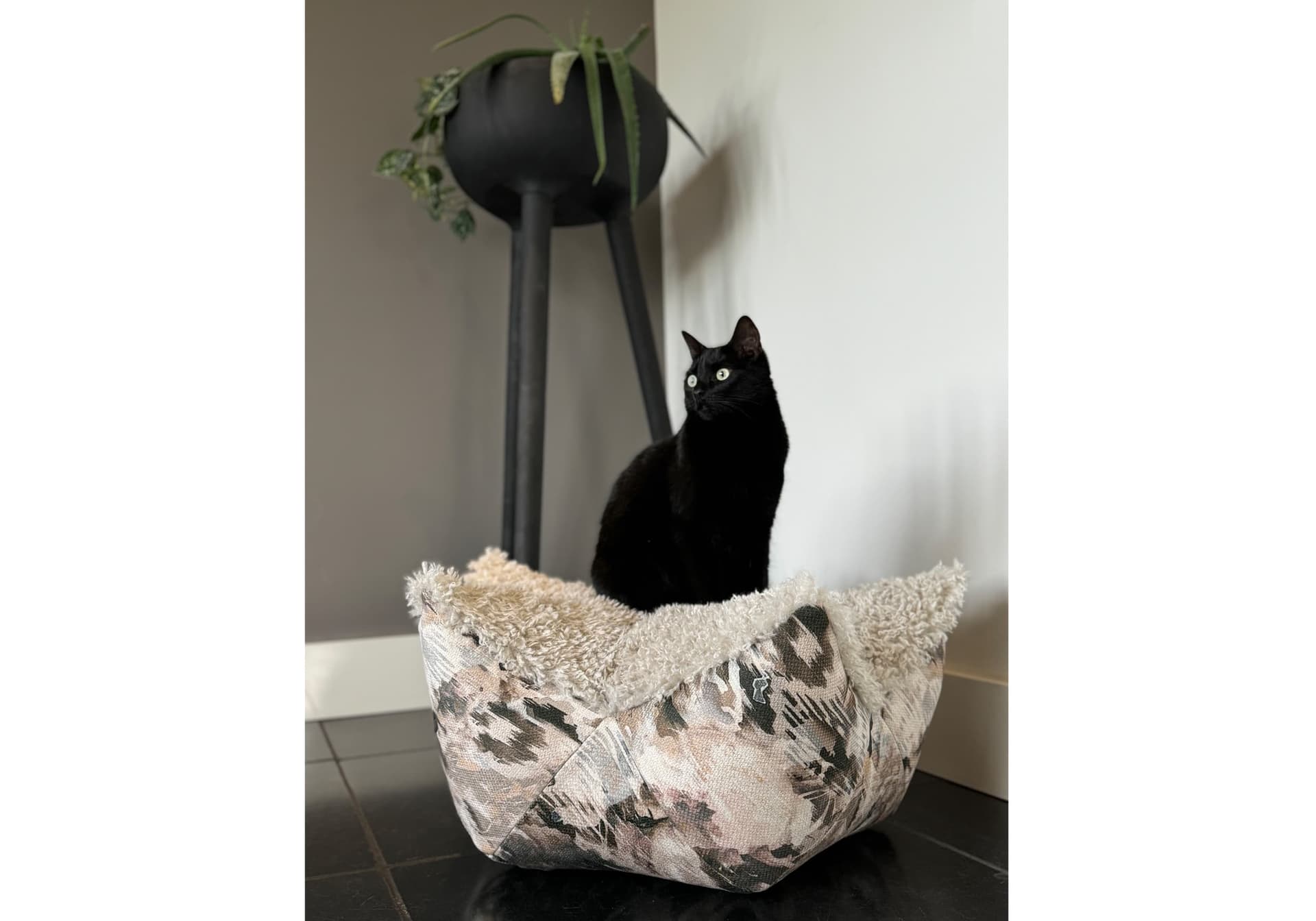 Sfeerfoto ster poef Nowie Small Groen met zwarte kat
