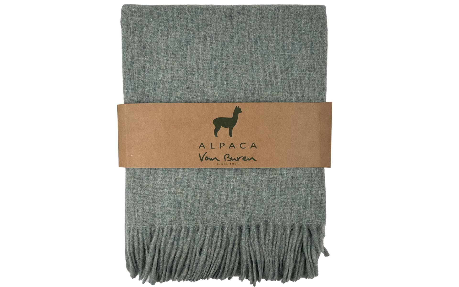 Alpaca plaid van Buren Mint